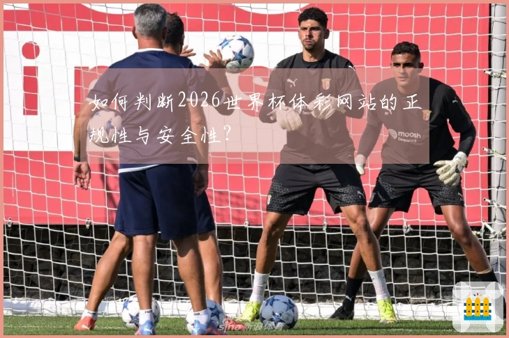 如何判断2026世界杯体彩网站的正规性与安全性？