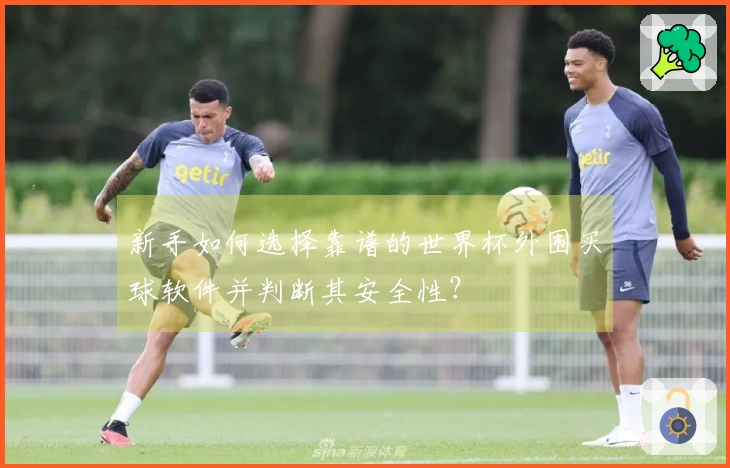 新手如何选择靠谱的世界杯外围买球软件并判断其安全性？