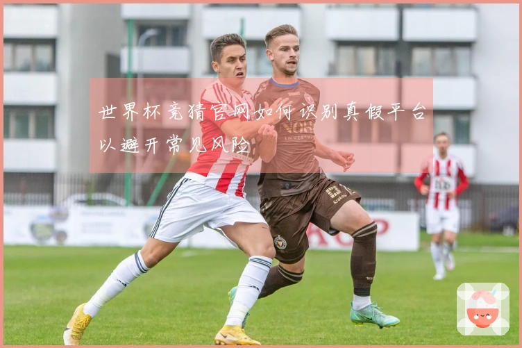 世界杯竞猜官网如何识别真假平台以避开常见风险