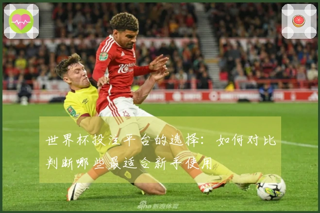 世界杯投注平台的选择：如何对比判断哪些最适合新手使用