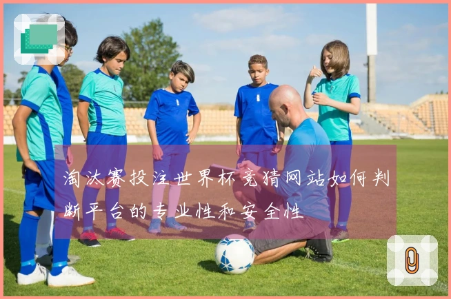 淘汰赛投注世界杯竞猜网站如何判断平台的专业性和安全性
