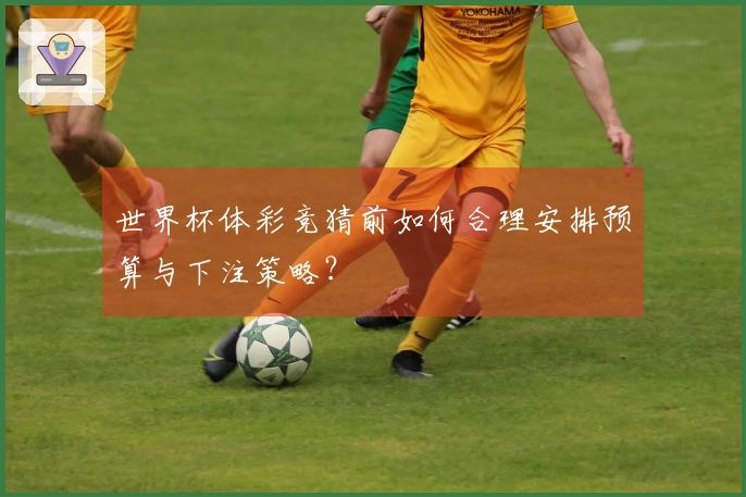 世界杯体彩竞猜前如何合理安排预算与下注策略？