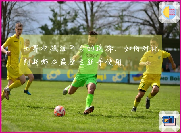 世界杯投注平台的选择：如何对比判断哪些最适合新手使用