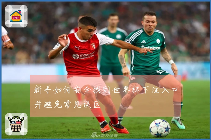 新手如何安全找到世界杯下注入口并避免常见误区