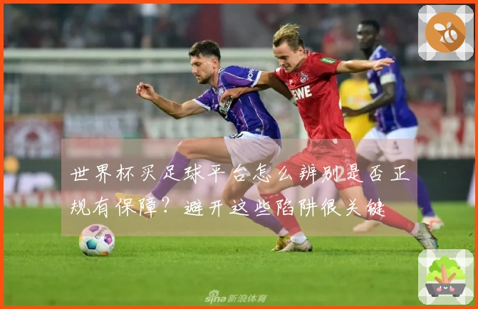 世界杯买足球平台怎么辨别是否正规有保障？避开这些陷阱很关键
