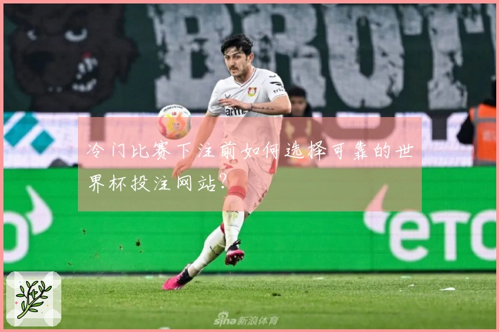 冷门比赛下注前如何选择可靠的世界杯投注网站？