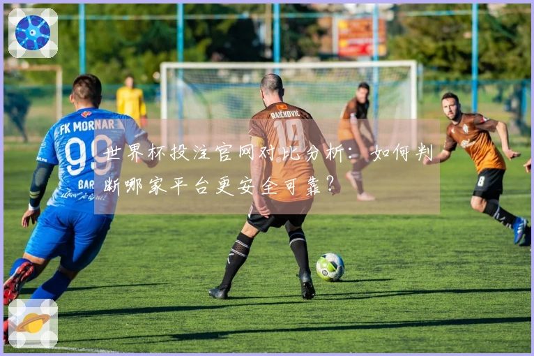 世界杯投注官网对比分析：如何判断哪家平台更安全可靠？