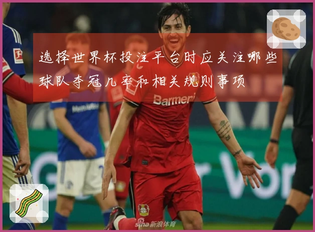 选择世界杯投注平台时应关注哪些球队夺冠几率和相关规则事项