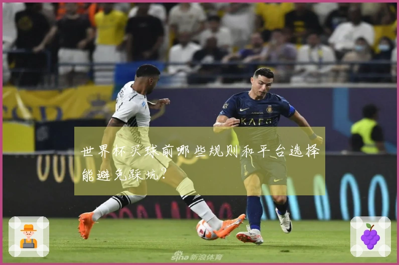 世界杯买球前哪些规则和平台选择能避免踩坑？