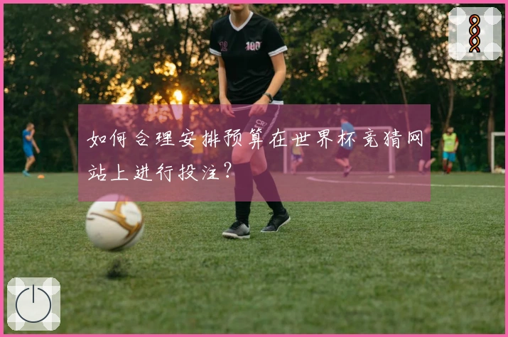 如何合理安排预算在世界杯竞猜网站上进行投注？