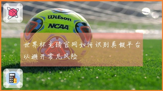 世界杯竞猜官网如何识别真假平台以避开常见风险