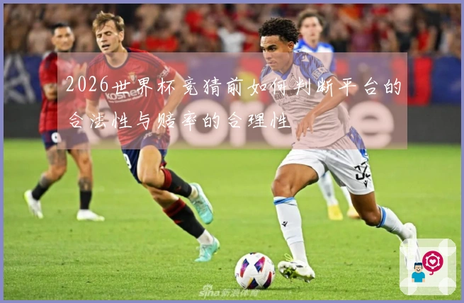 2026世界杯竞猜前如何判断平台的合法性与赔率的合理性