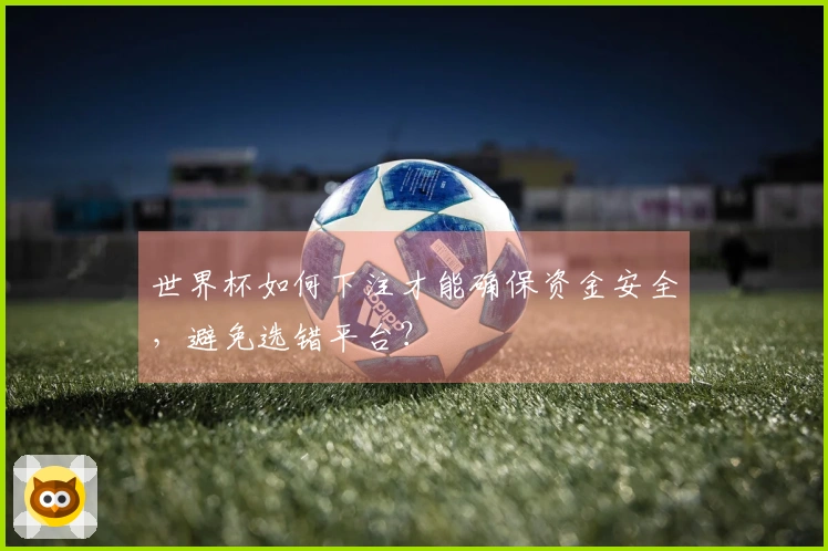 世界杯如何下注才能确保资金安全，避免选错平台？