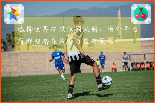 选择世界杯投注网站前，海外平台有哪些潜在风险与应对策略？