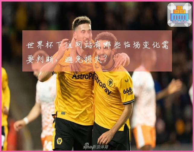 世界杯下注网站有哪些临场变化需要判断，避免损失？