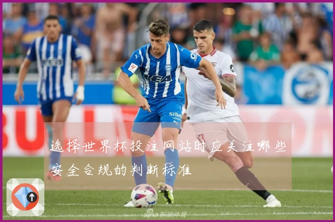 选择世界杯投注网站时应关注哪些安全合规的判断标准