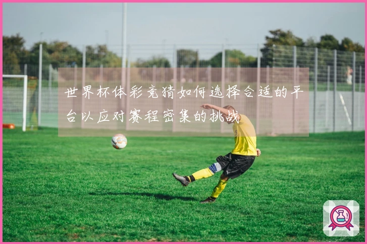 世界杯体彩竞猜如何选择合适的平台以应对赛程密集的挑战