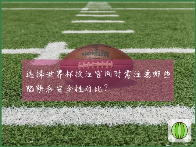 选择世界杯投注官网时需注意哪些陷阱和安全性对比？