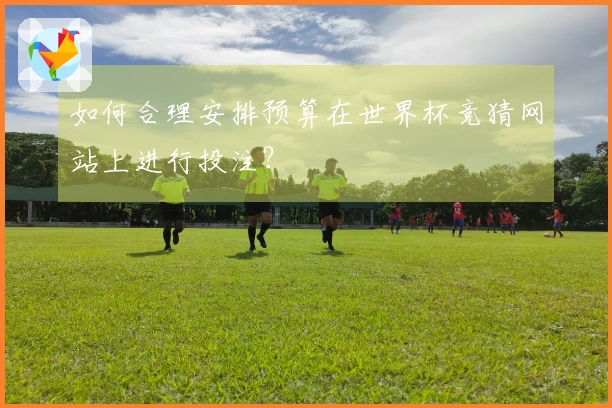 如何合理安排预算在世界杯竞猜网站上进行投注？