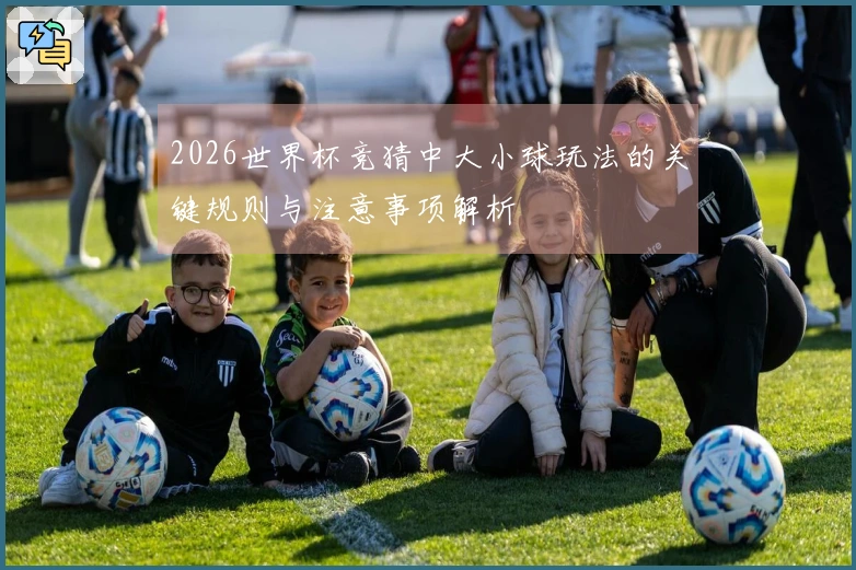 2026世界杯竞猜中大小球玩法的关键规则与注意事项解析