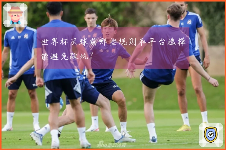 世界杯买球前哪些规则和平台选择能避免踩坑？