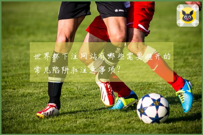 世界杯下注网站有哪些需要避开的常见陷阱和注意事项？