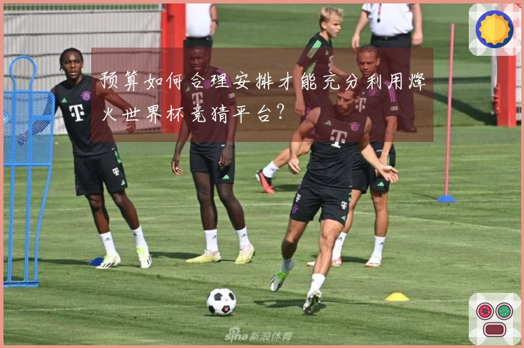 预算如何合理安排才能充分利用烽火世界杯竞猜平台？