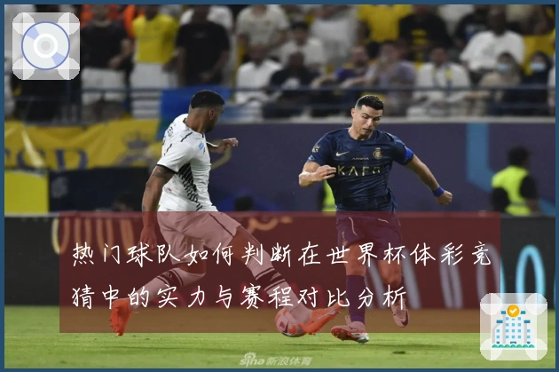 热门球队如何判断在世界杯体彩竞猜中的实力与赛程对比分析