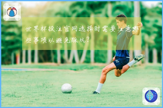 世界杯投注官网选择时需要注意哪些事项以避免踩坑？