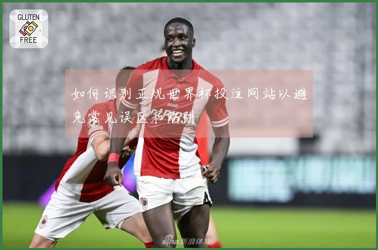 如何识别正规世界杯投注网站以避免常见误区和陷阱