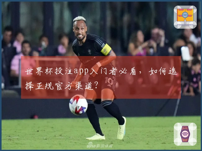 世界杯投注app入门者必看，如何选择正规官方渠道？
