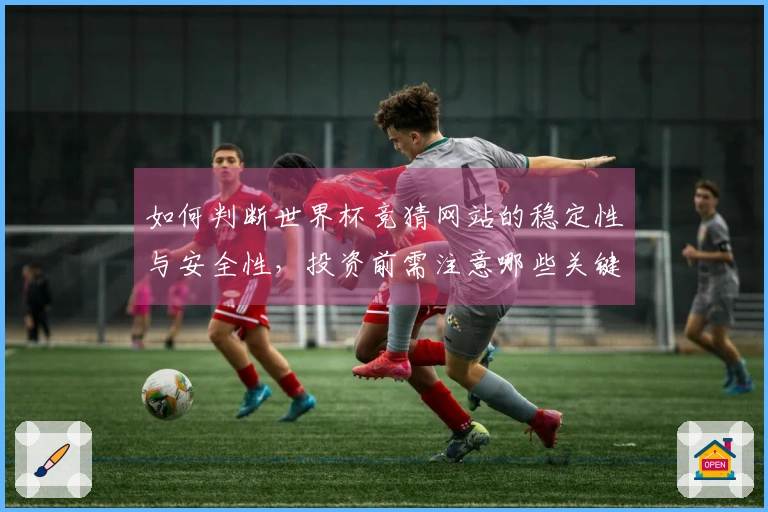 如何判断世界杯竞猜网站的稳定性与安全性，投资前需注意哪些关键因素